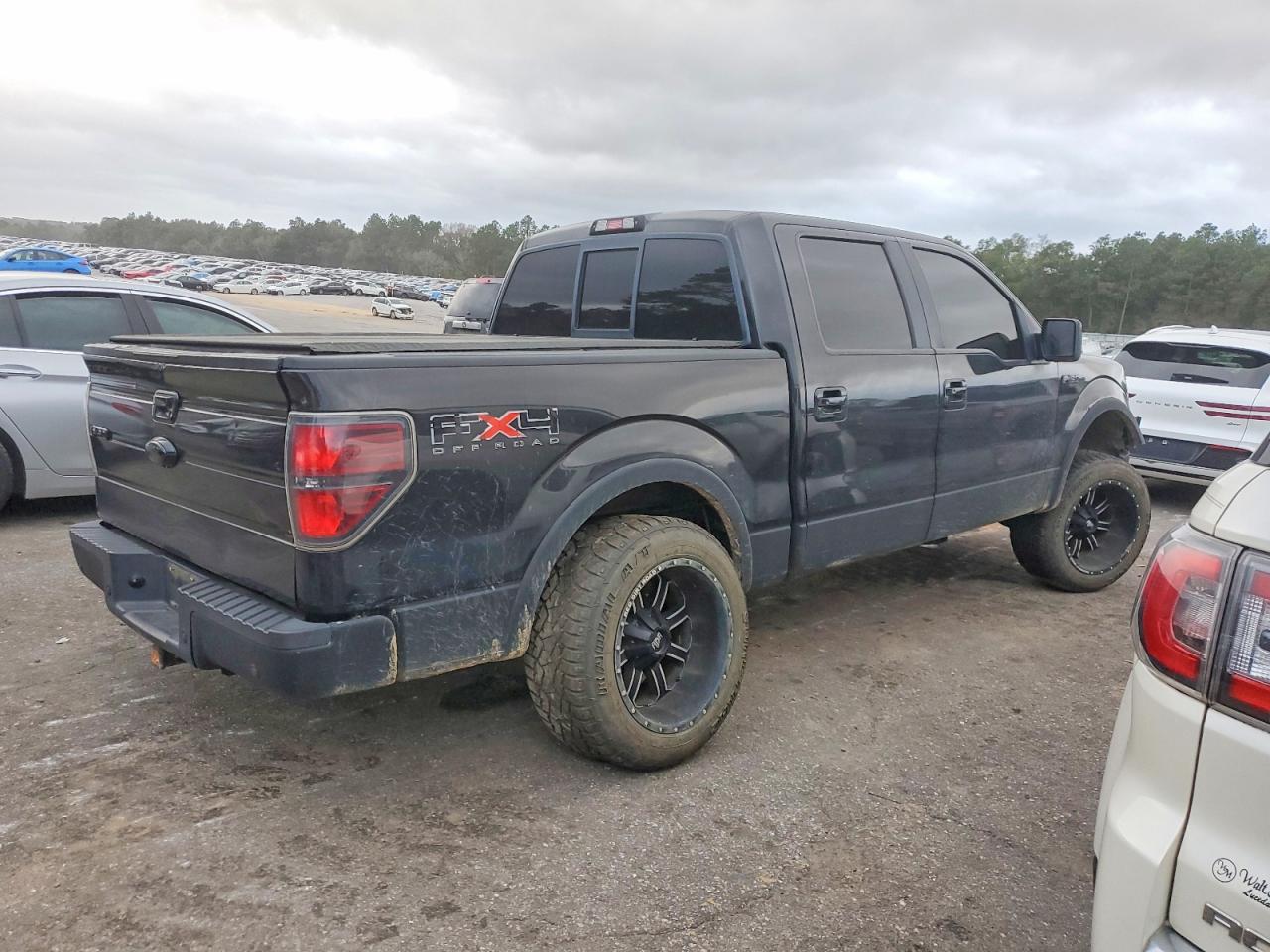 2011 FORD F150 SUPERCREW photo 3