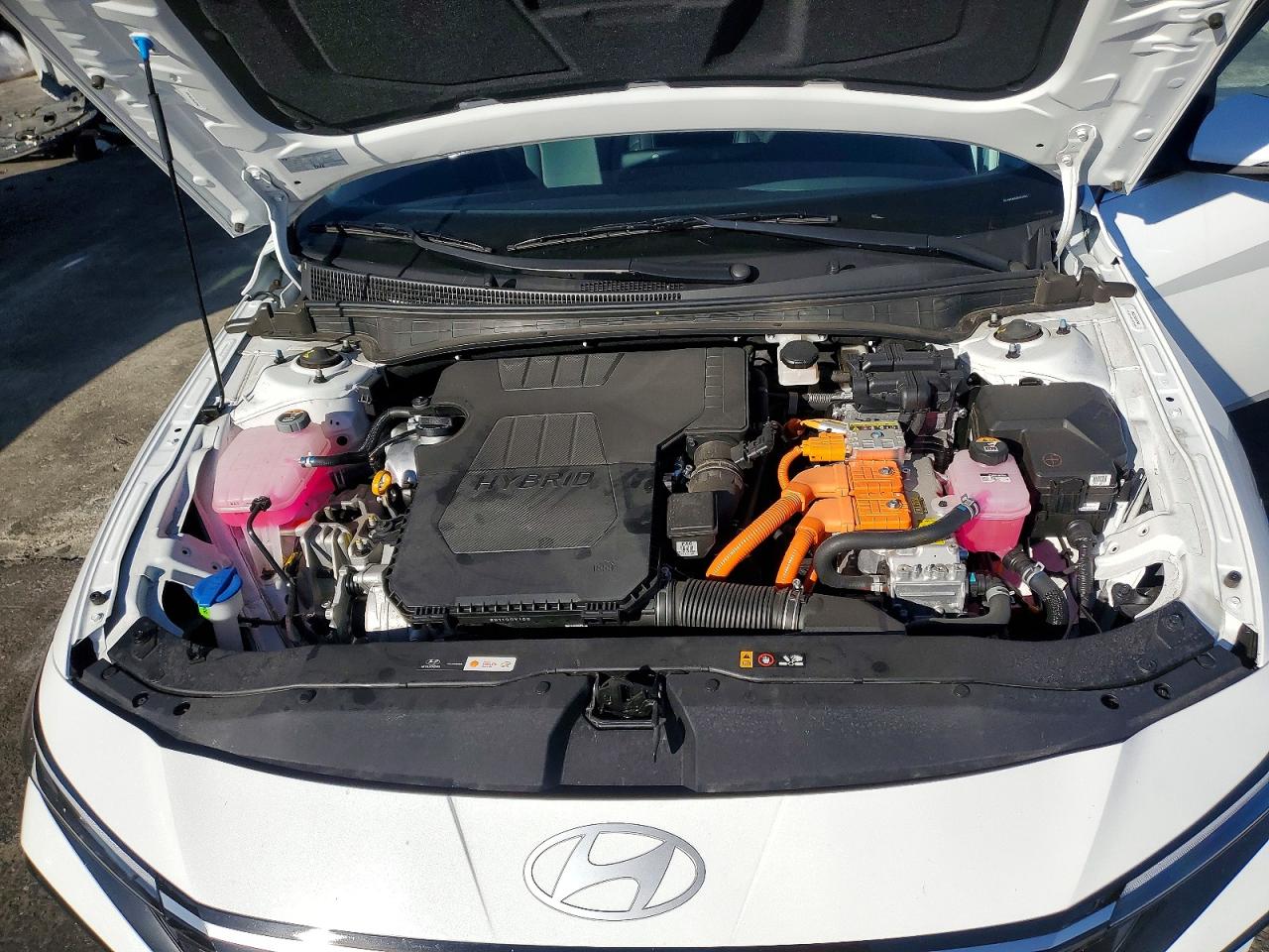2025 HYUNDAI ELANTRA LIMITED photo 11