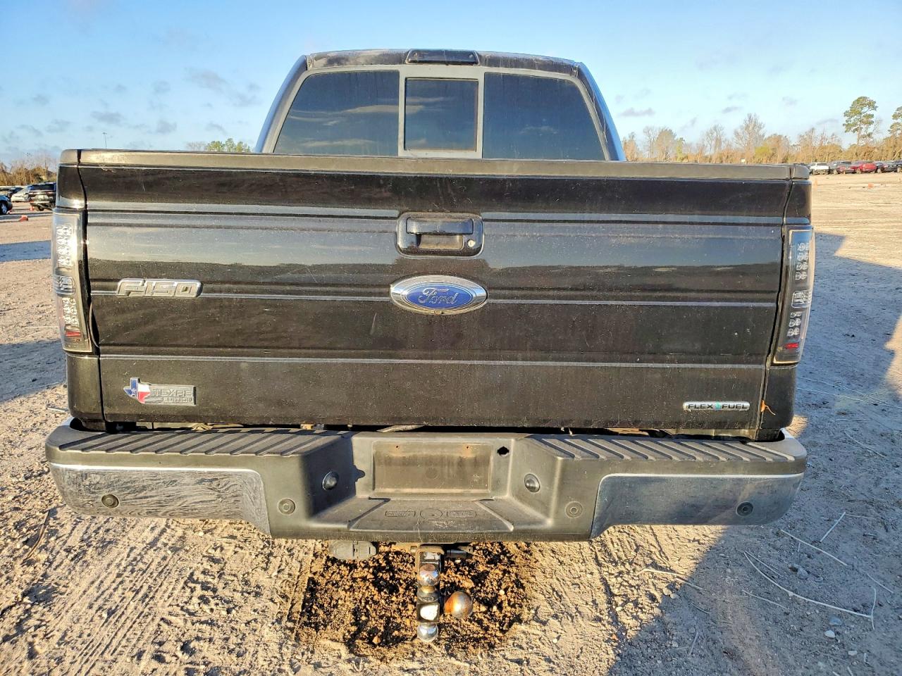 2010 FORD F150 SUPERCREW photo 6