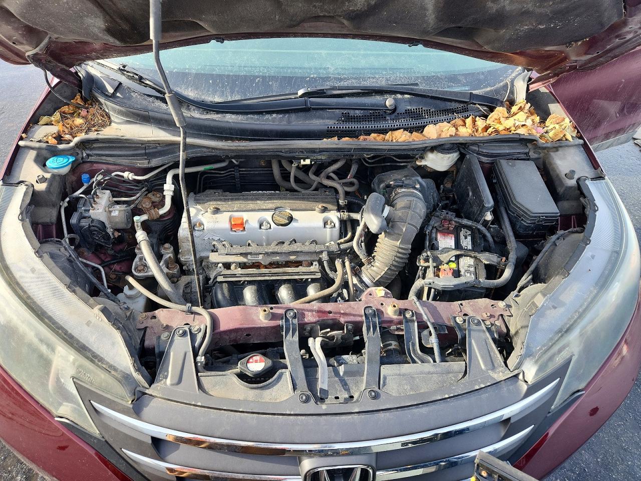 2013 HONDA CR-V LX photo 11