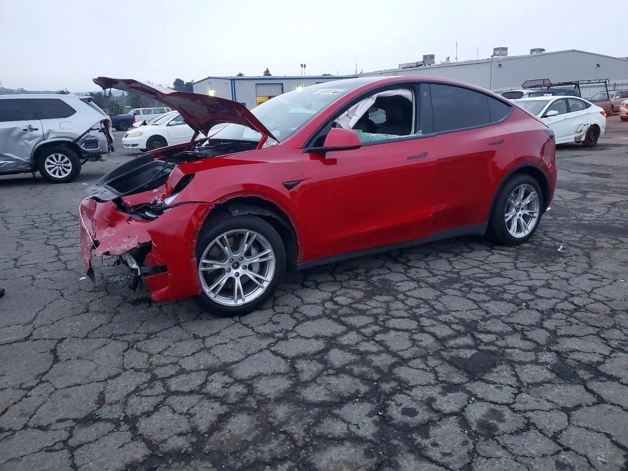 2021 TESLA MODEL Y