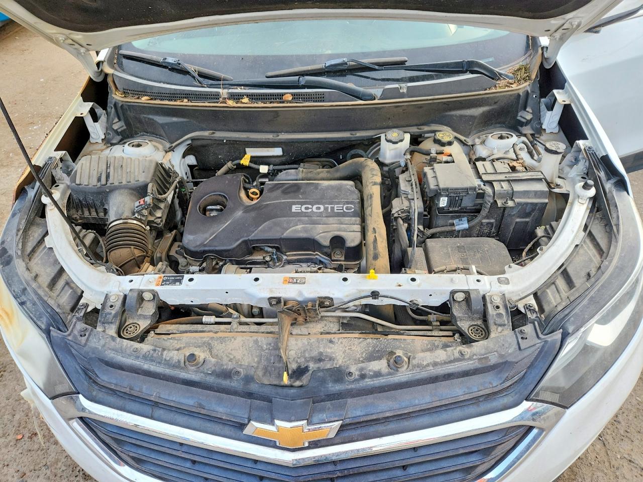 2019 CHEVROLET EQUINOX LT photo 12