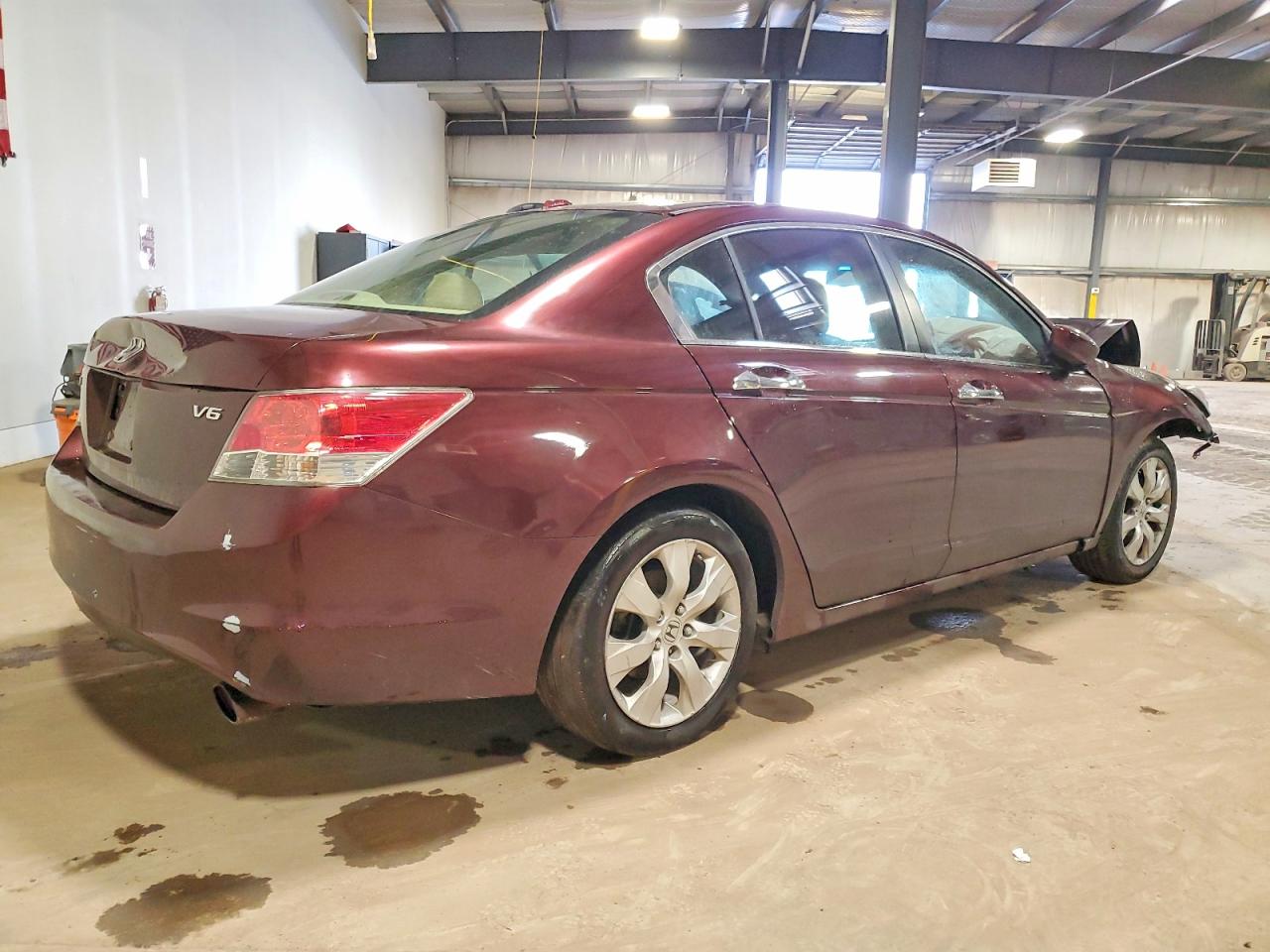 2010 HONDA ACCORD EXL photo 5