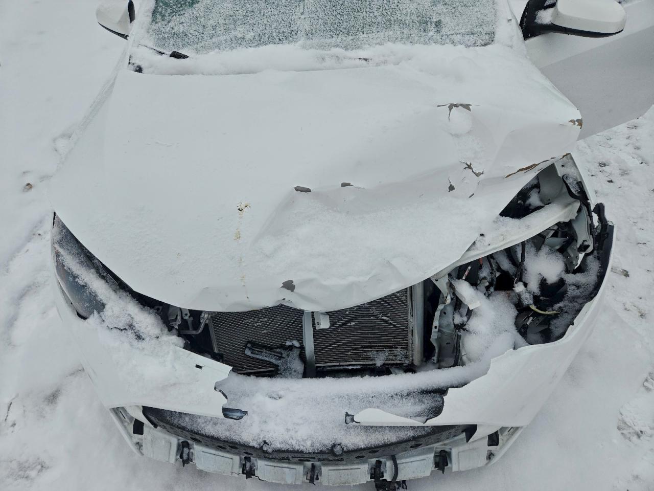 2019 TOYOTA COROLLA L photo 11