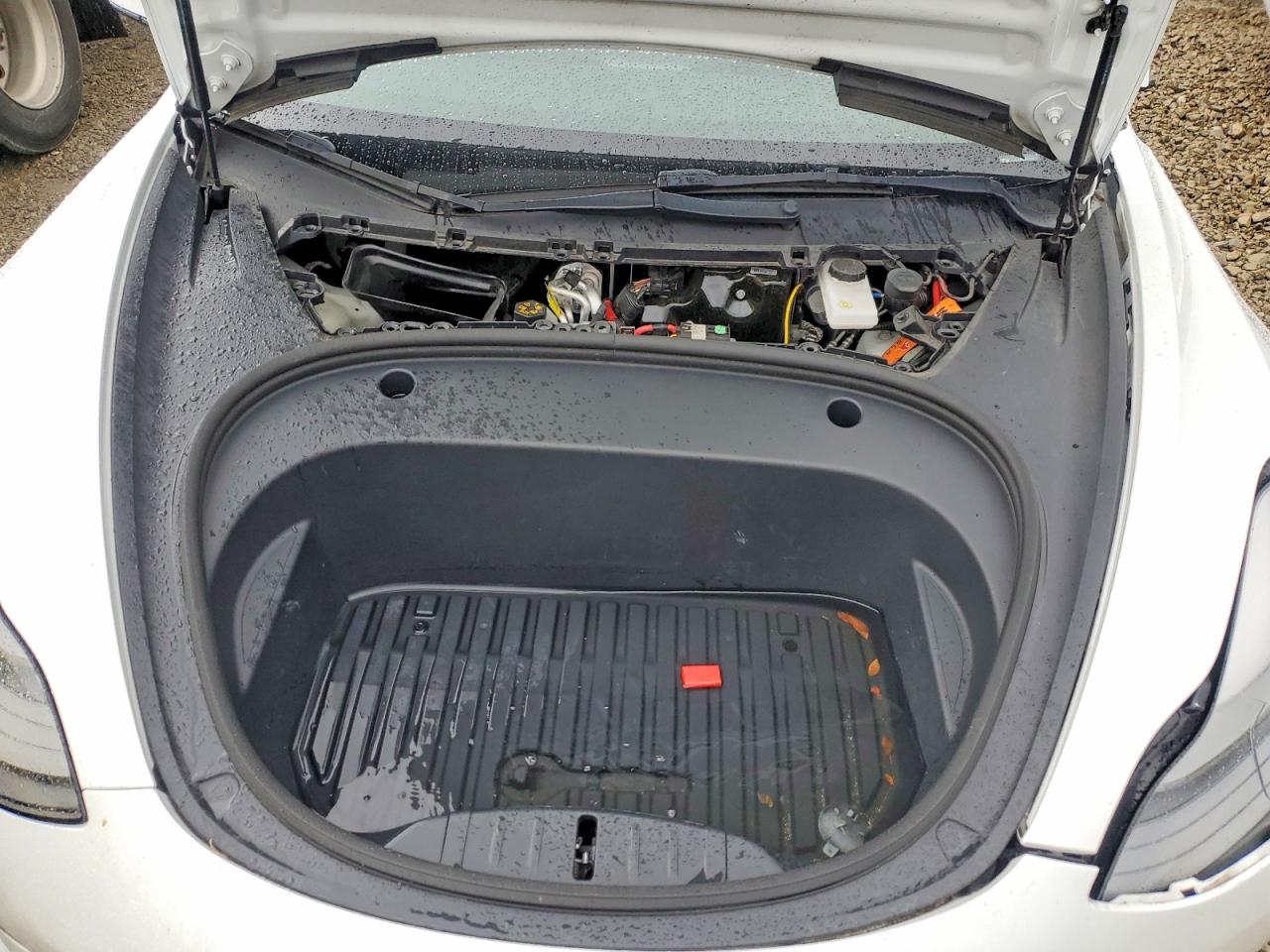 2023 TESLA MODEL 3 photo 11