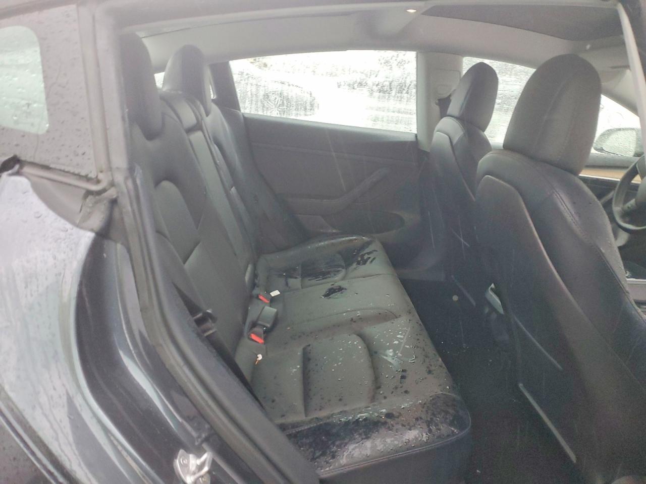 2021 TESLA MODEL 3 photo 10