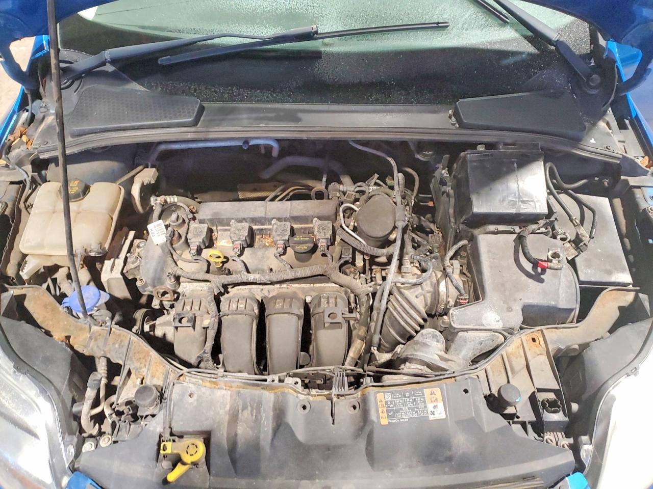 2014 FORD FOCUS SE photo 11