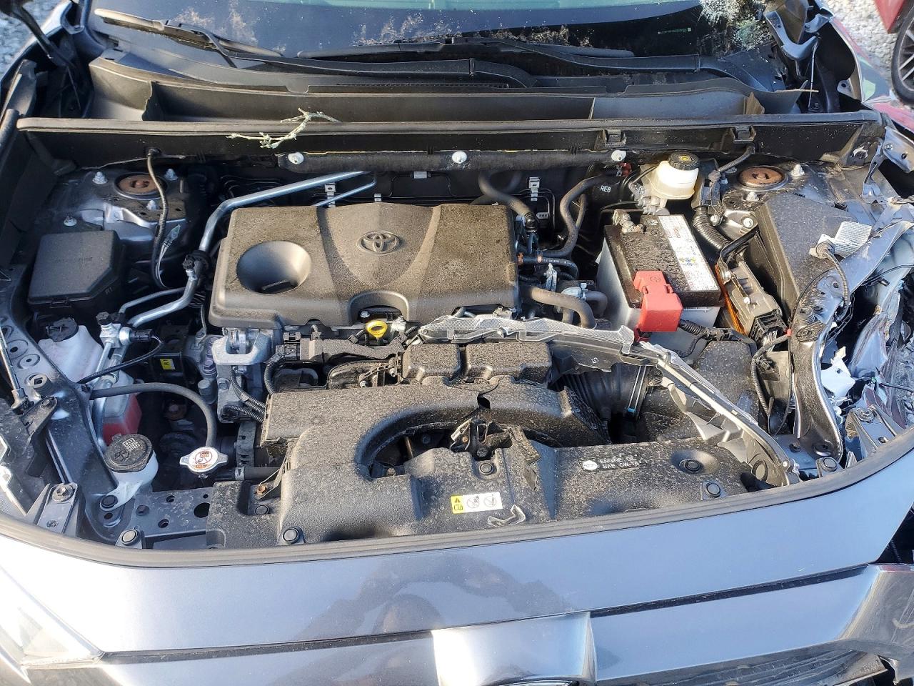 2019 TOYOTA RAV4 XLE photo 12