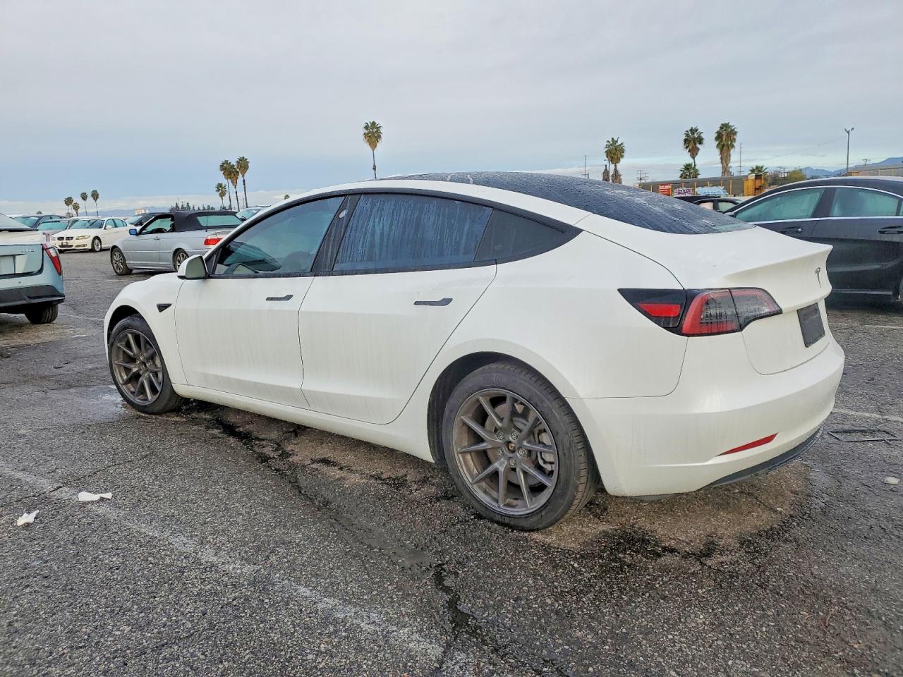 2023 TESLA MODEL 3 photo 2