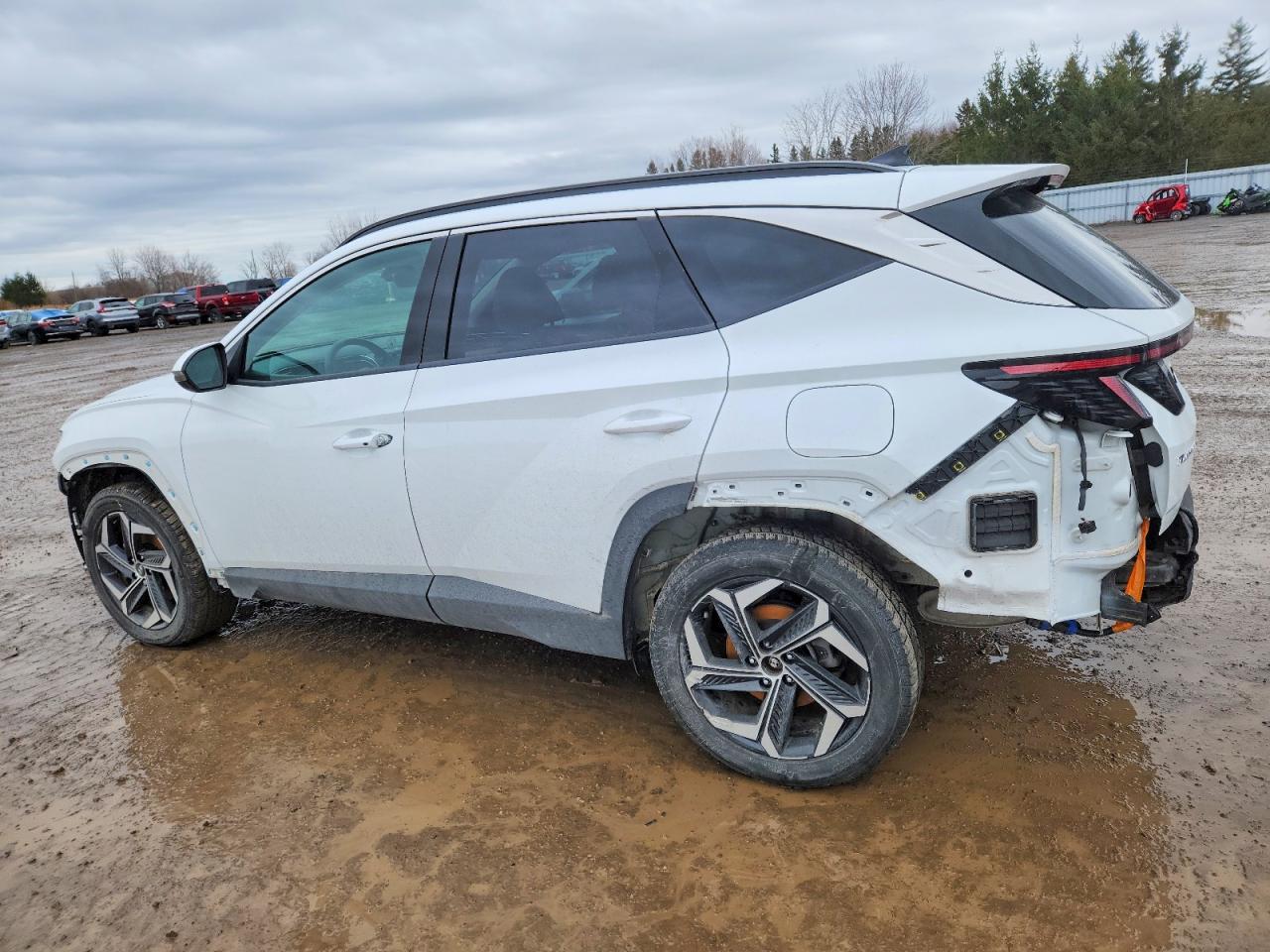 2024 HYUNDAI TUCSON SEL CONVENIENCE photo 3