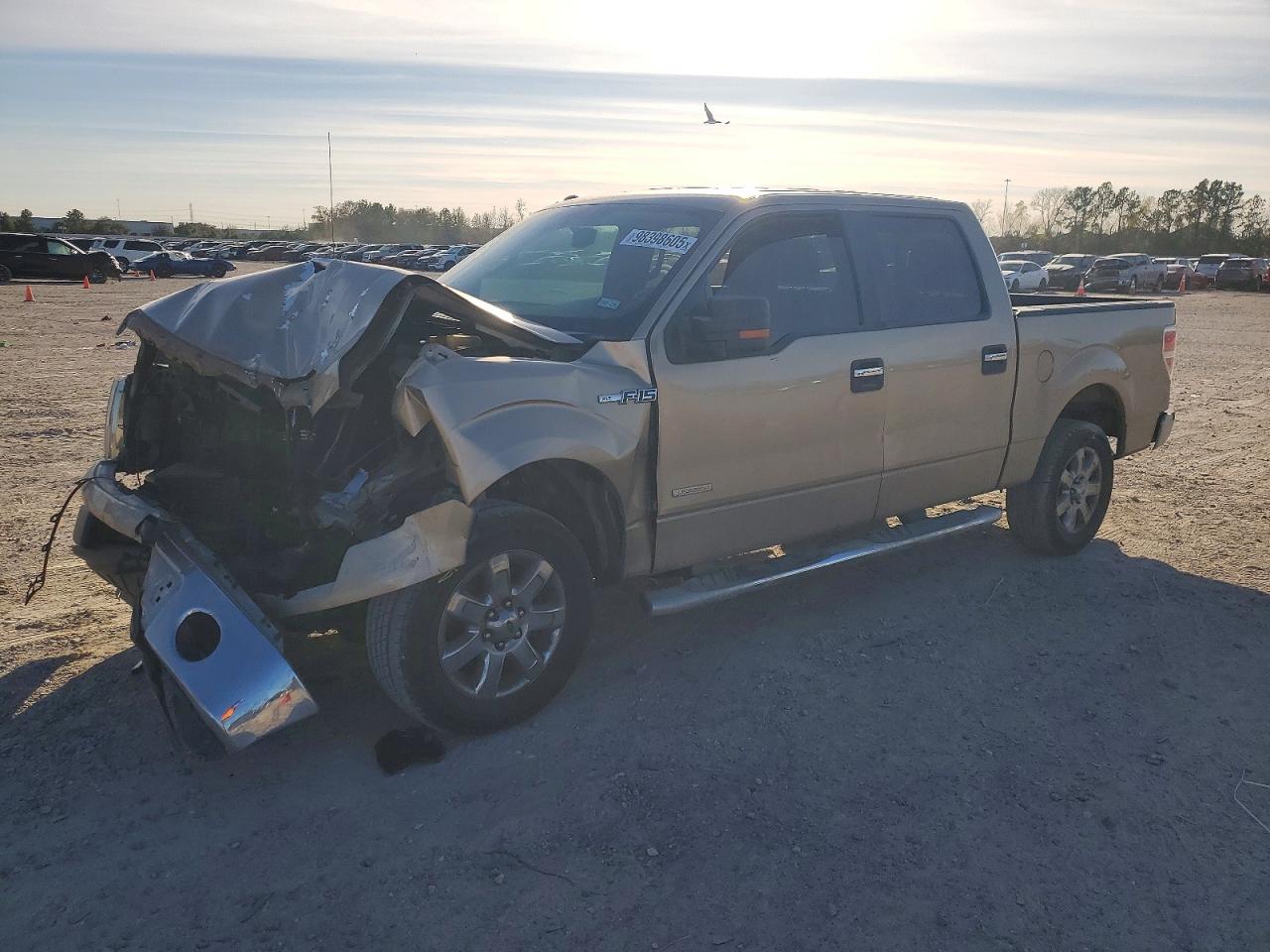 2014 FORD F150