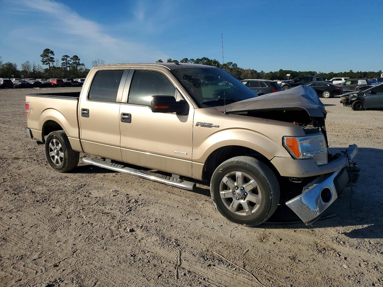 2014 FORD F150 SUPERCREW photo 4