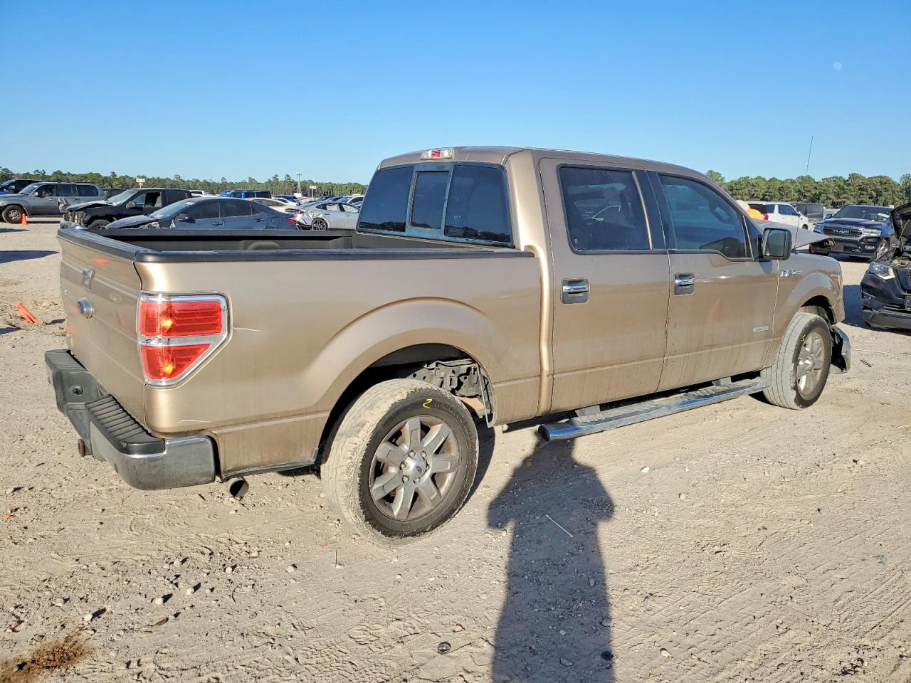 2014 FORD F150 SUPERCREW photo 3