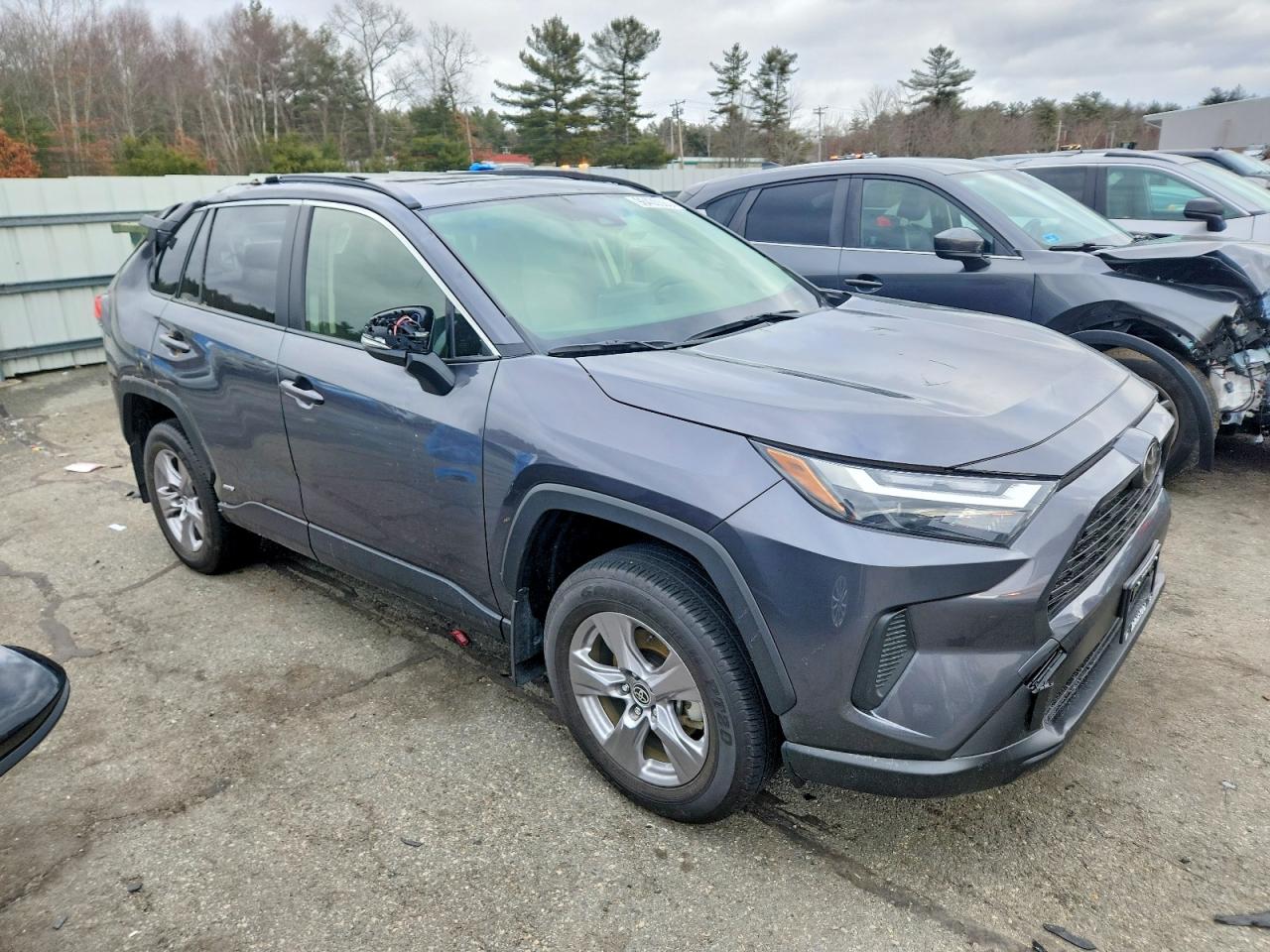 2025 TOYOTA RAV4 XLE photo 10
