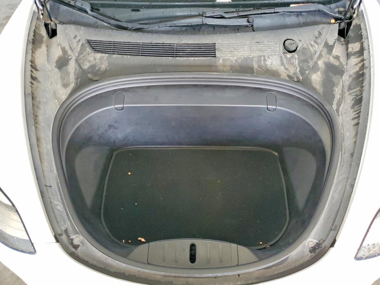2019 TESLA MODEL 3 photo 11