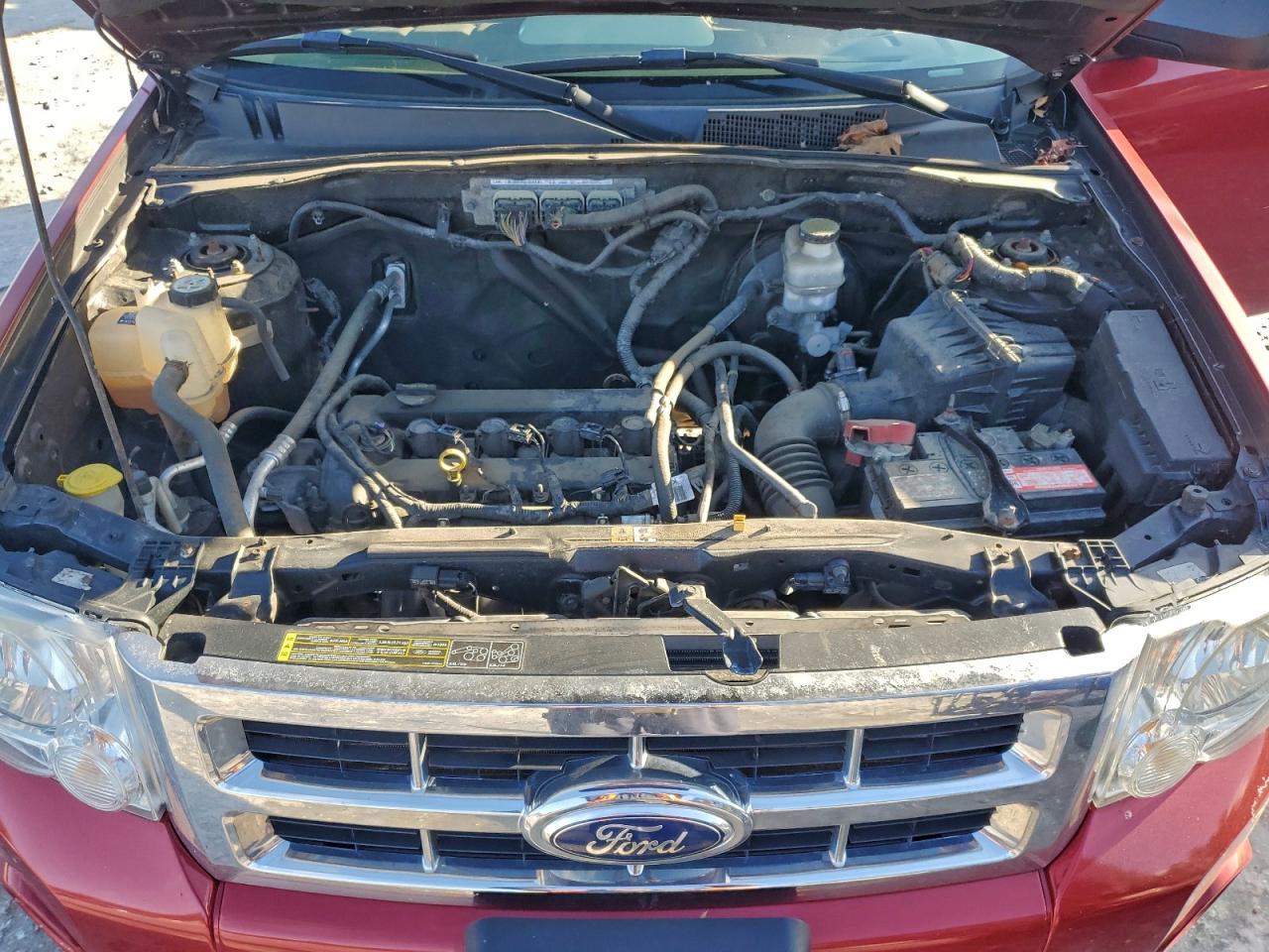 2012 FORD ESCAPE XLT photo 12