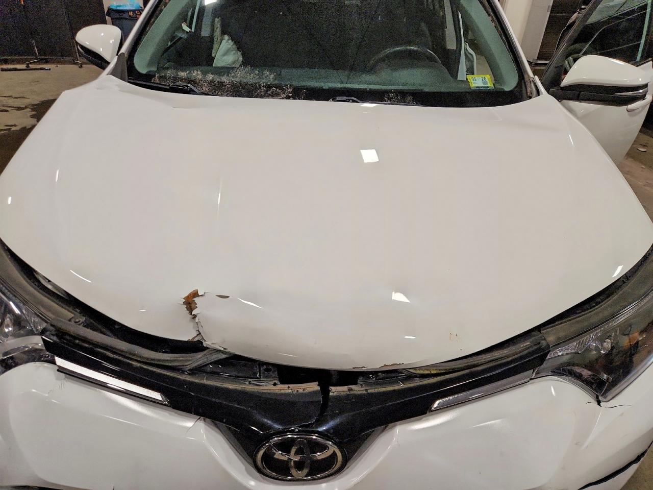 2016 TOYOTA RAV4 XLE photo 12