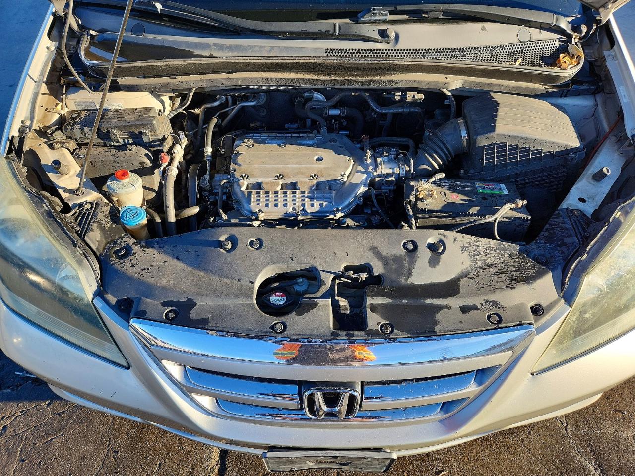 2005 HONDA ODYSSEY LX photo 23