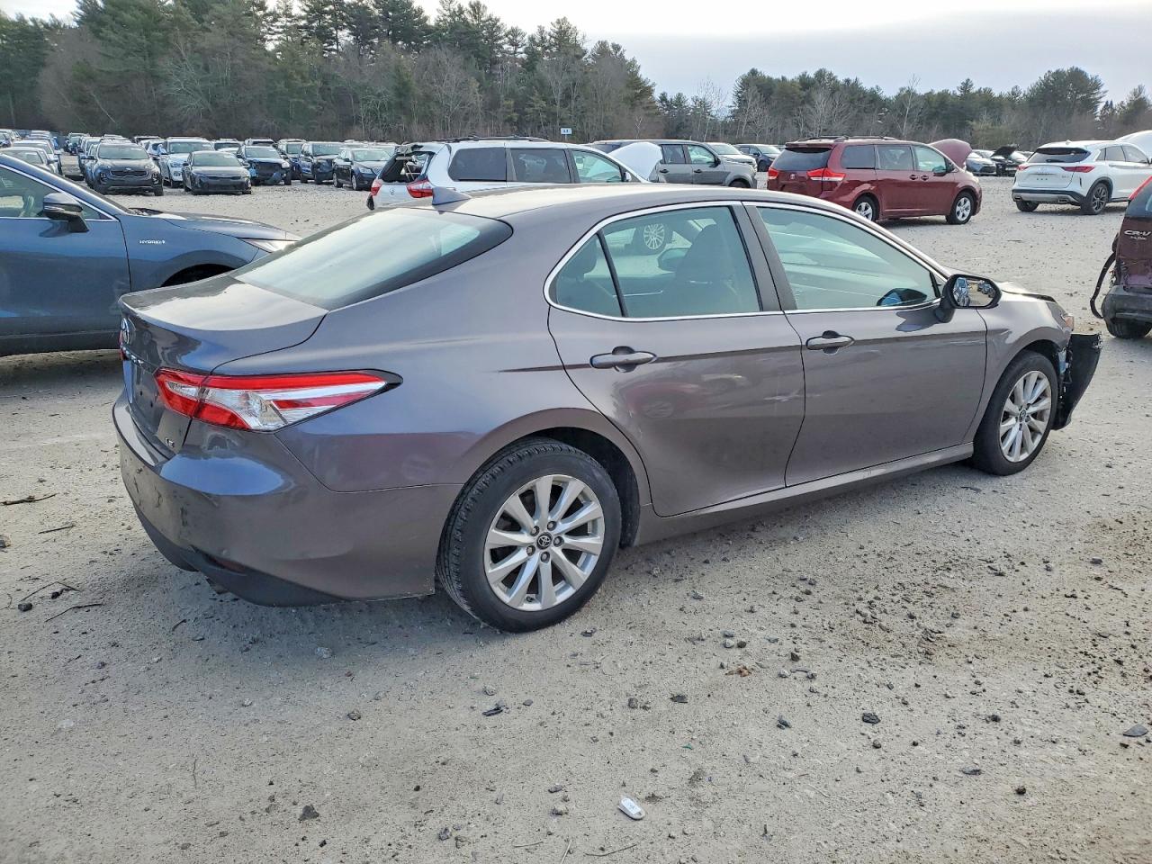 2019 TOYOTA CAMRY L photo 3