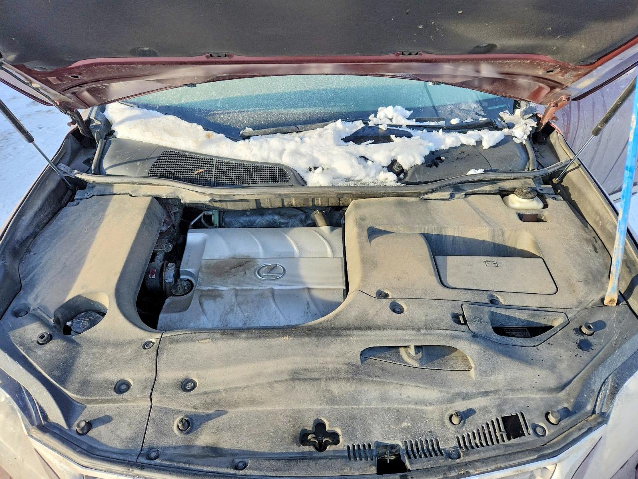2015 LEXUS RX 350 BASE photo 12