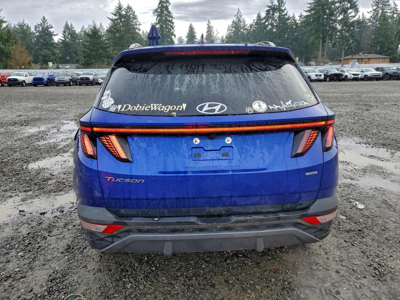 2023 HYUNDAI TUCSON LIMITED photo 6