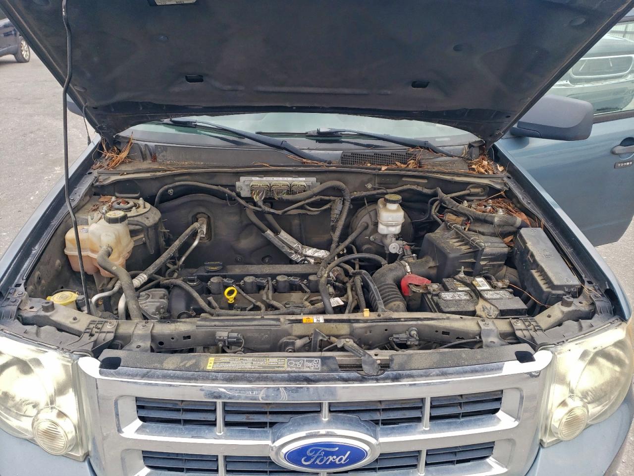 2011 FORD ESCAPE XLT photo 12