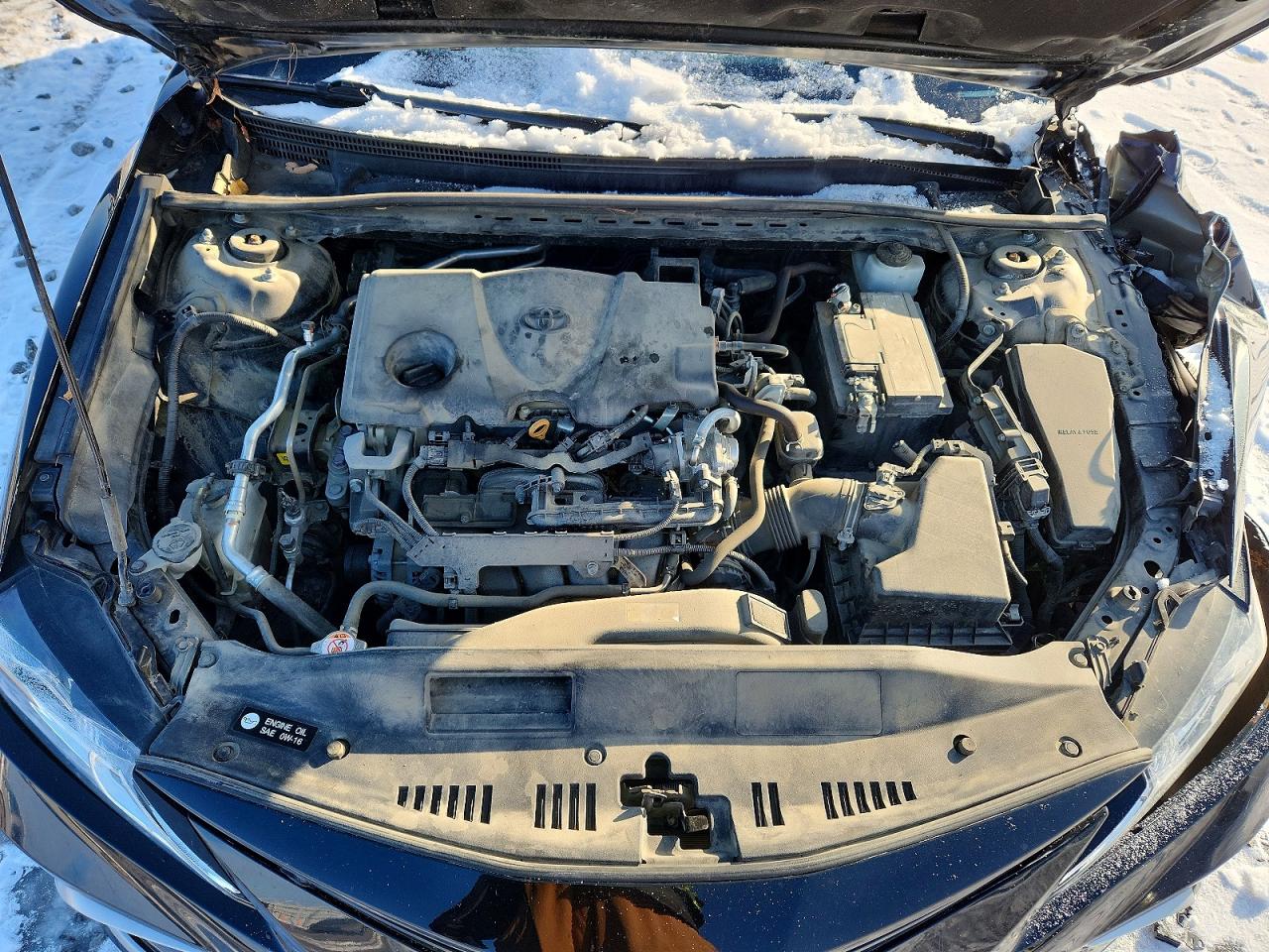 2023 TOYOTA CAMRY LE photo 11