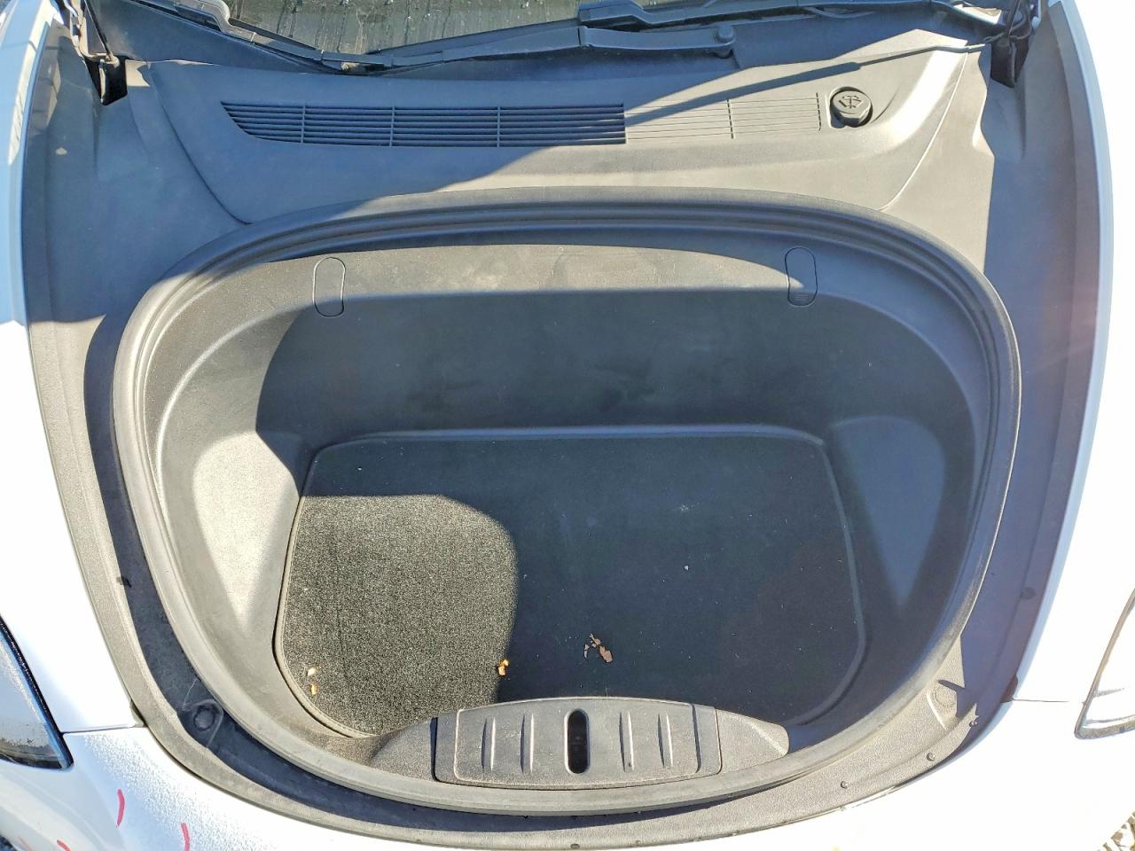 2019 TESLA MODEL 3 photo 23