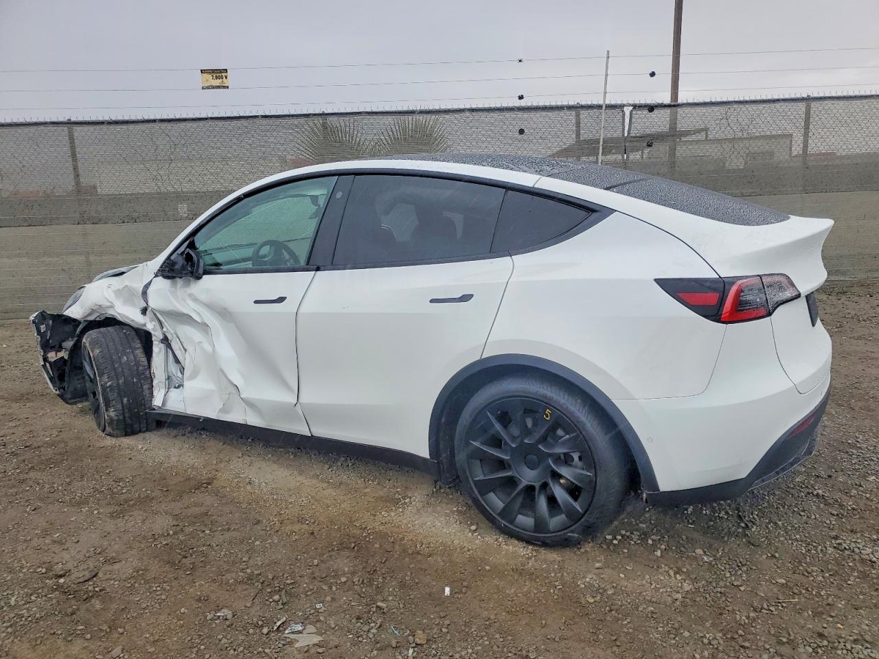 2021 TESLA MODEL Y photo 2