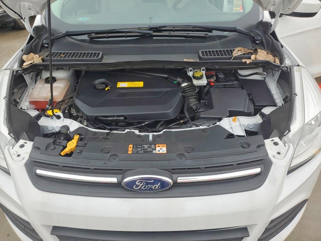 2016 FORD ESCAPE SE photo 12