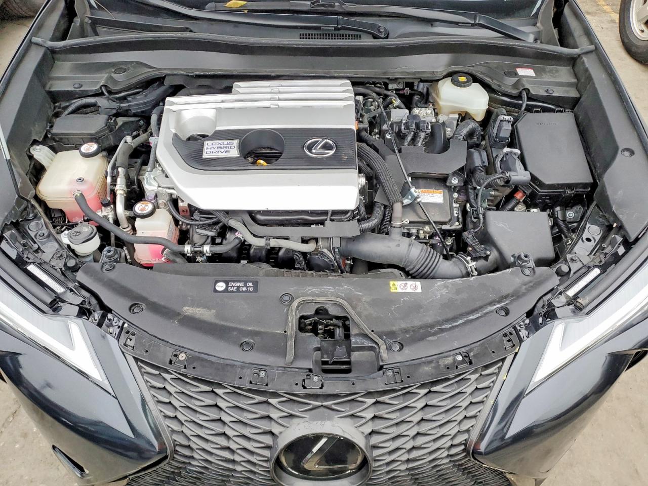 2019 LEXUS UX 250H photo 11