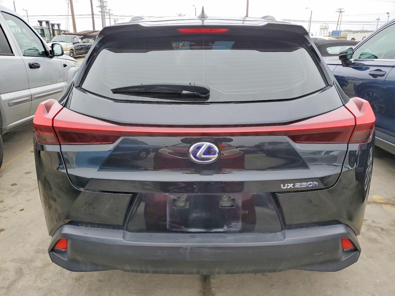 2019 LEXUS UX 250H photo 6