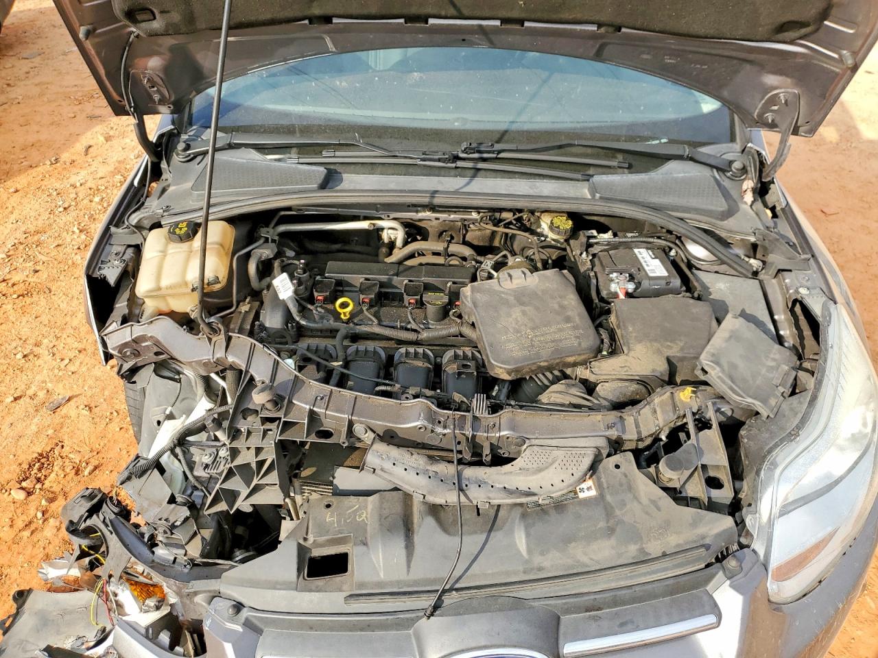 2014 FORD FOCUS SE photo 11