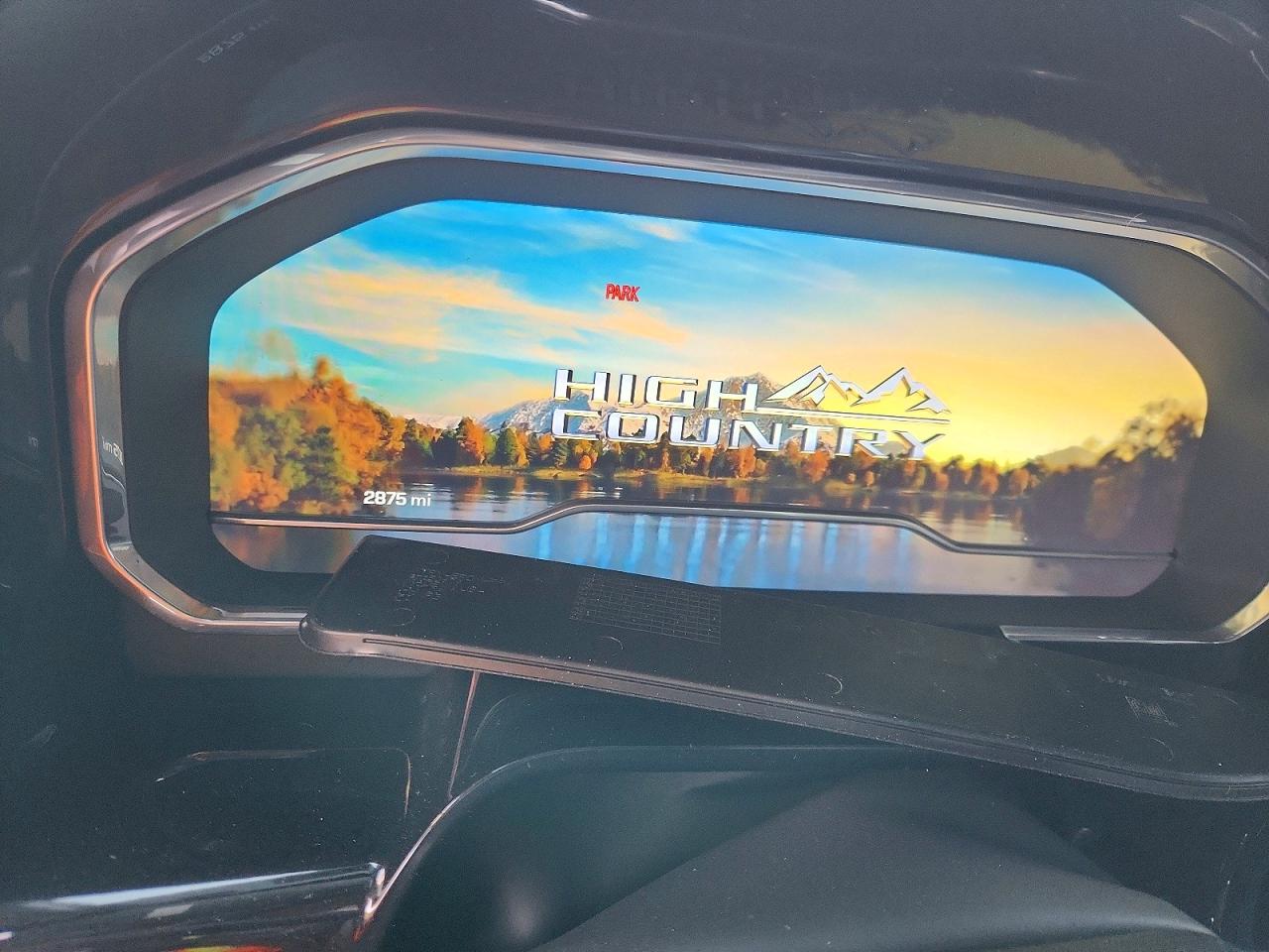 2025 CHEVROLET SILVERADO K1500 HIGH COUNTRY photo 9
