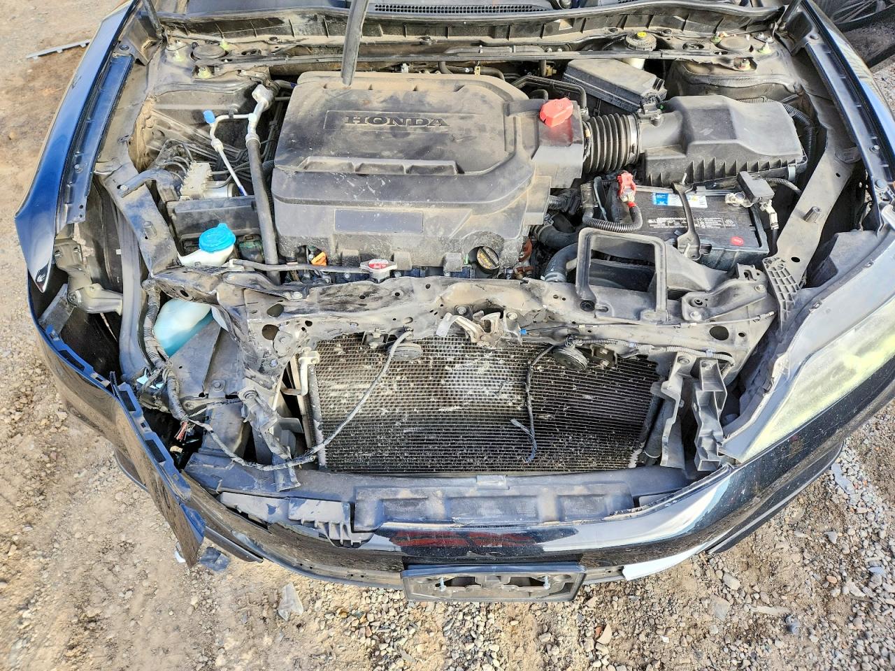 2014 HONDA ACCORD EXL photo 11