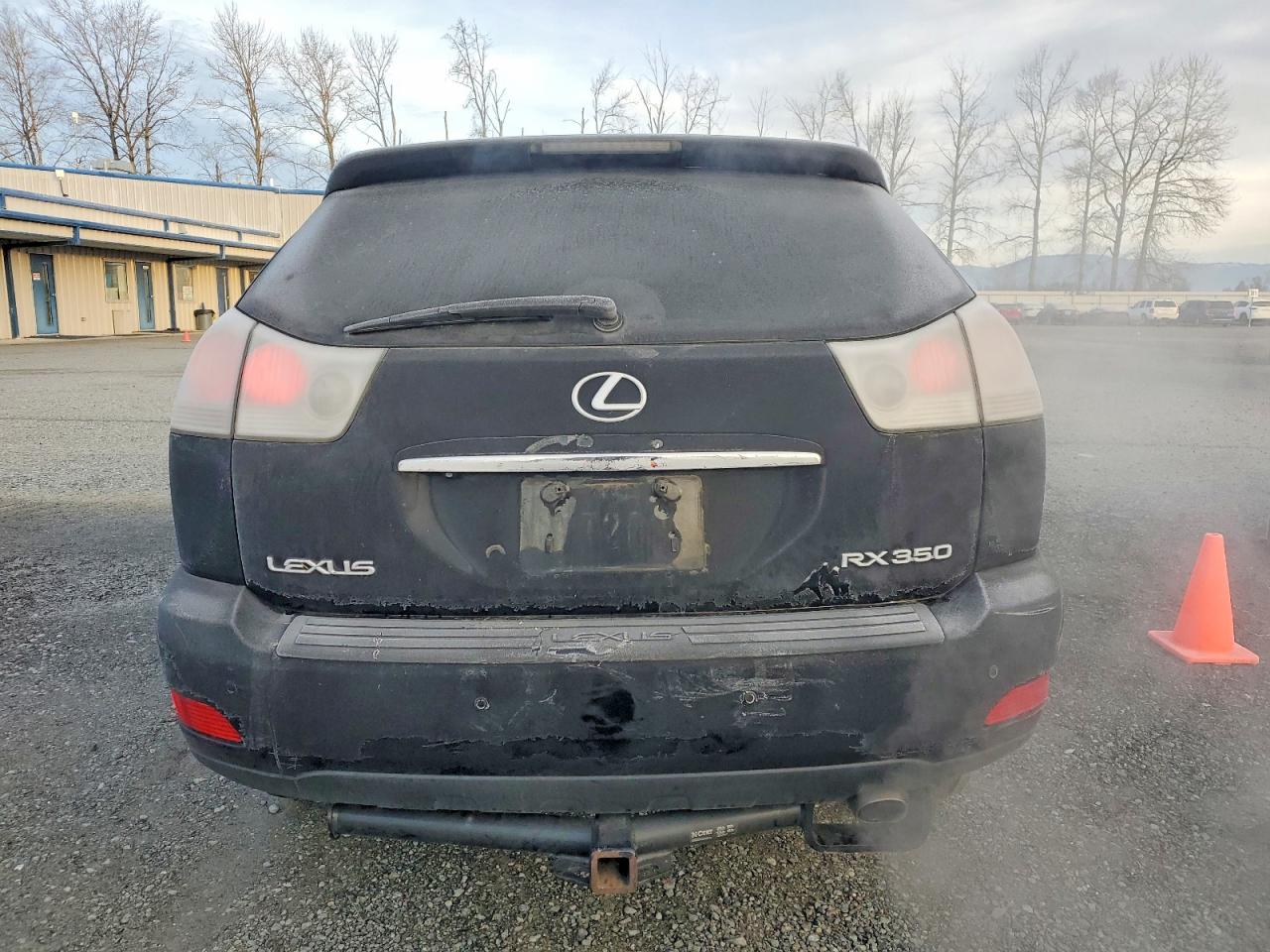 2008 LEXUS RX 350 photo 6