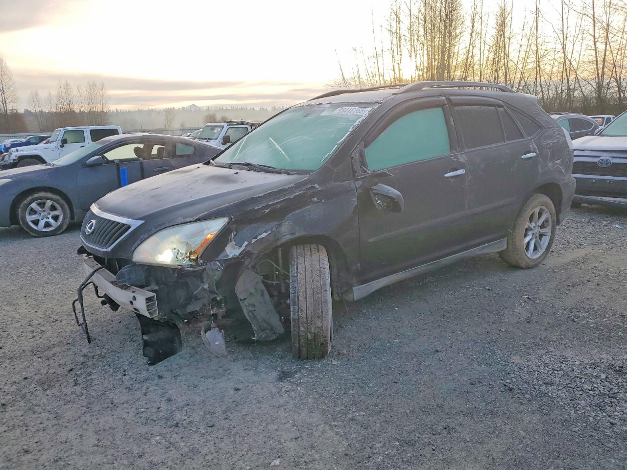 2008 LEXUS RX