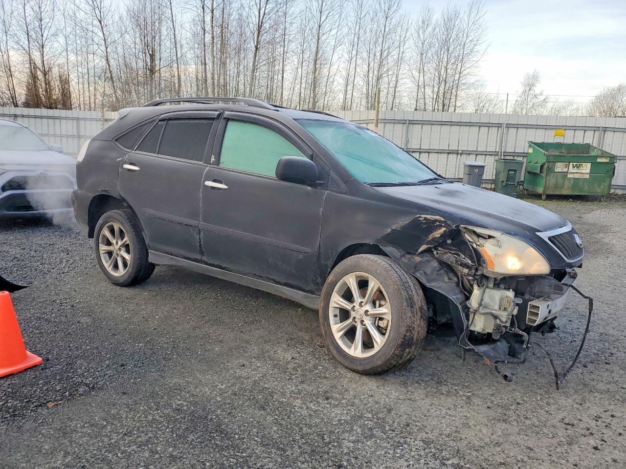 2008 LEXUS RX 350 photo 4