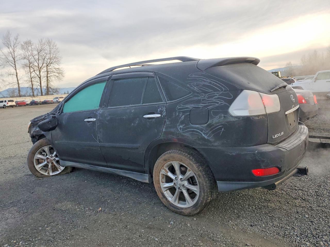 2008 LEXUS RX 350 photo 2