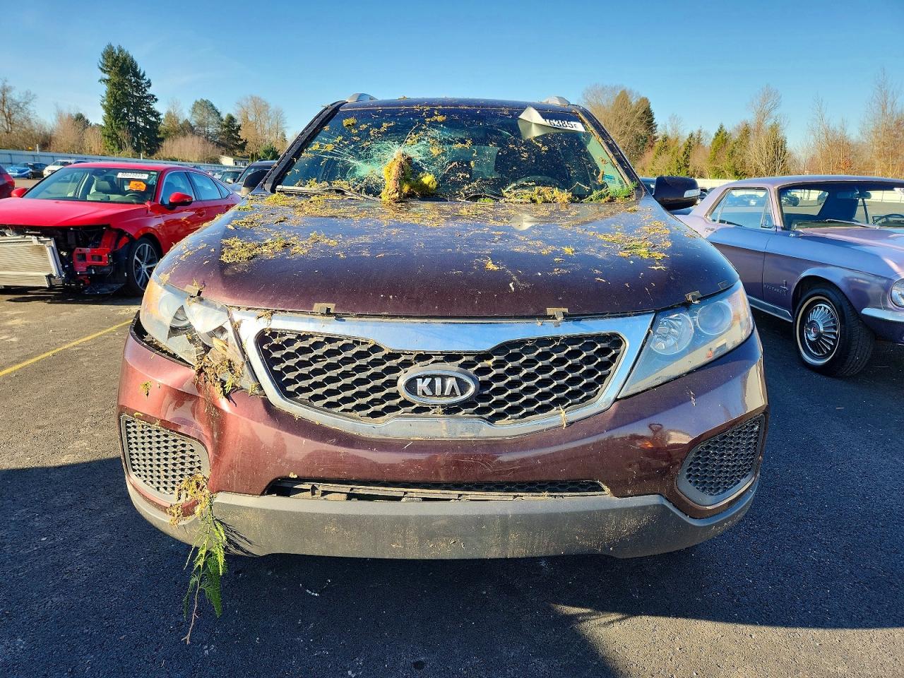2013 KIA SORENTO LX photo 5