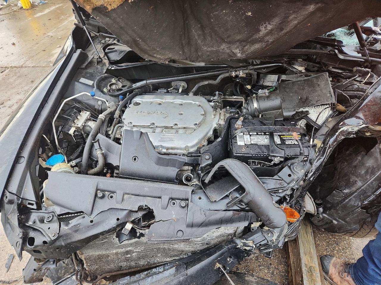 2008 HONDA ACCORD EXL photo 11