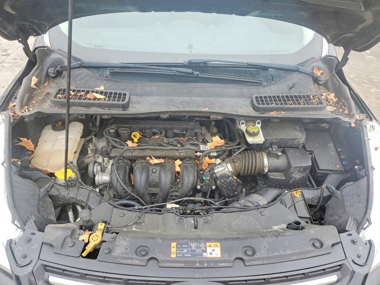 2015 FORD ESCAPE SE photo 12