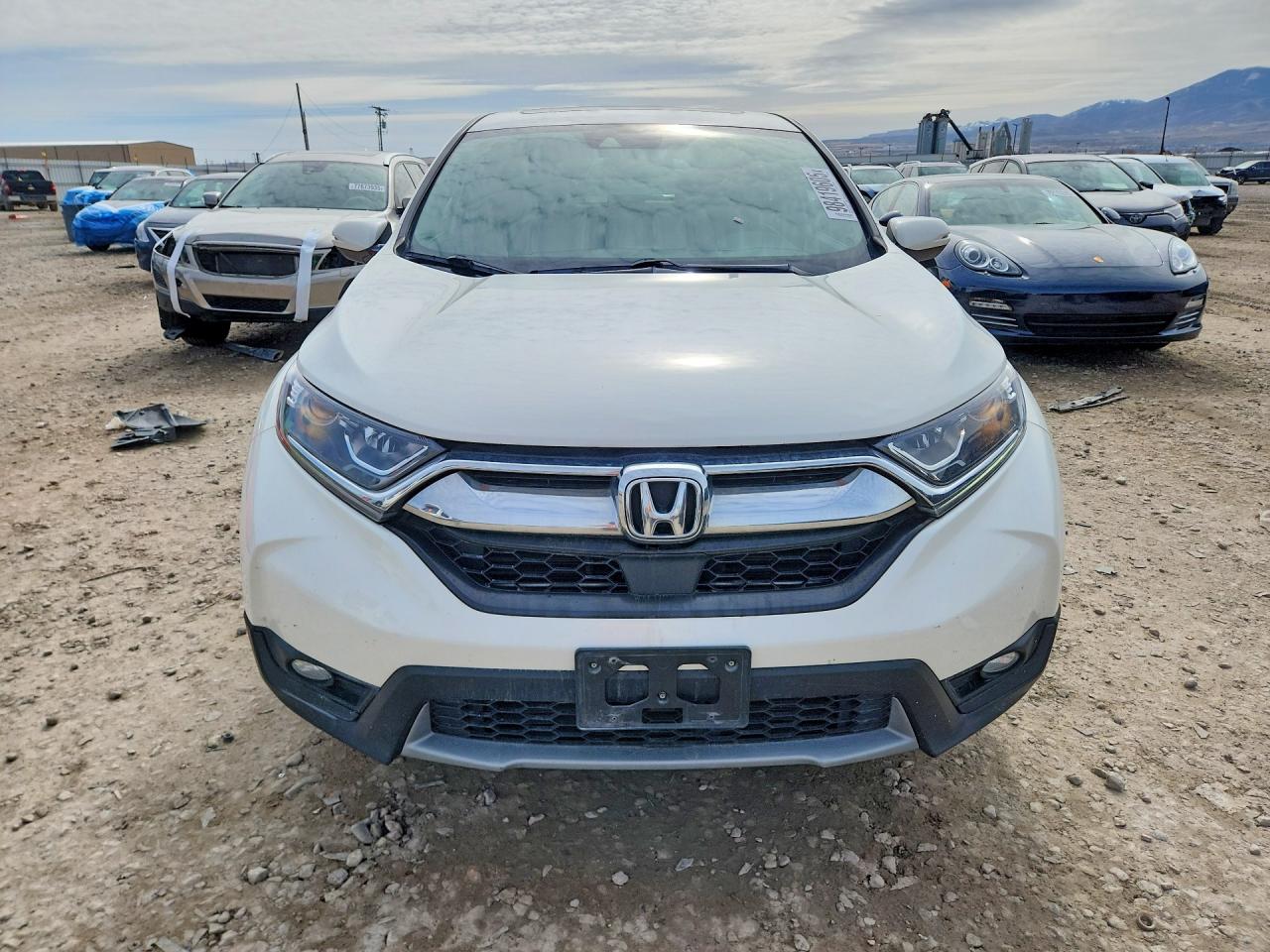 2017 HONDA CR-V EXL photo 5