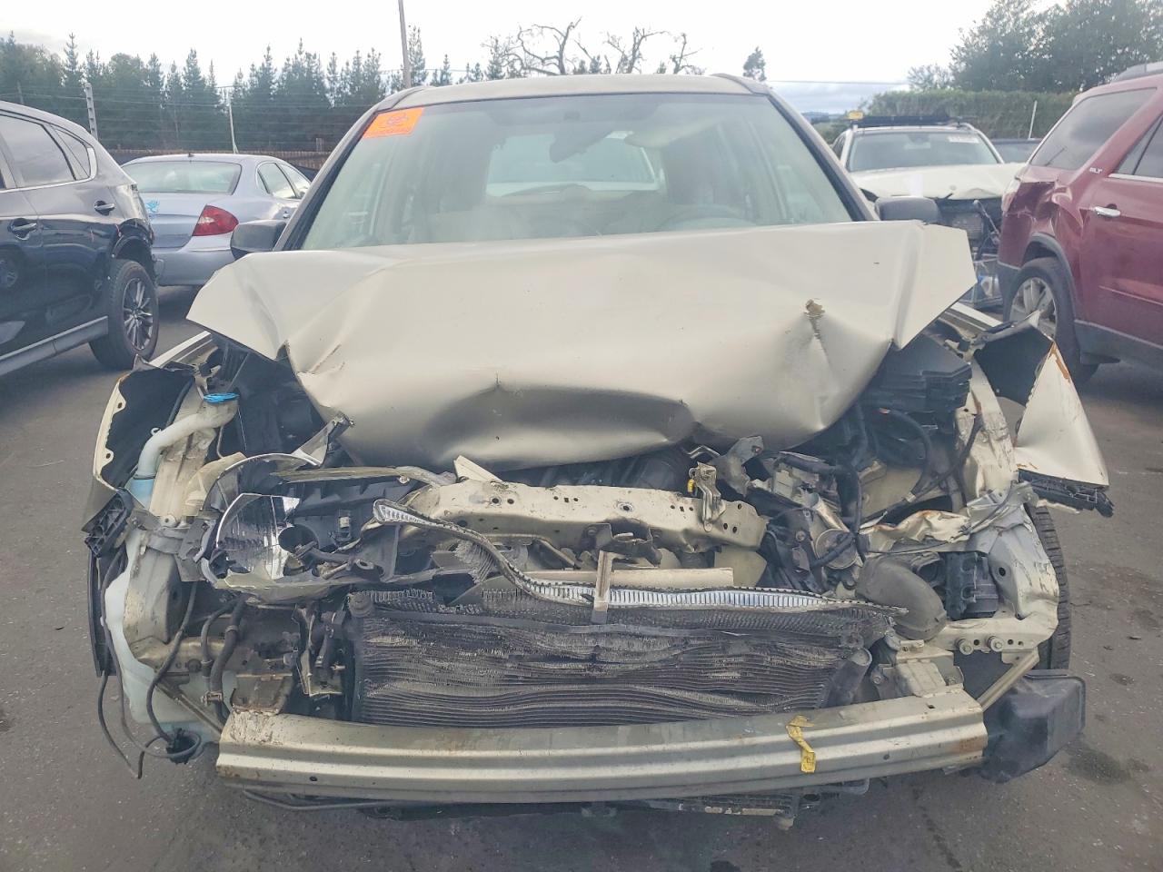 2008 HONDA CR-V LX photo 5