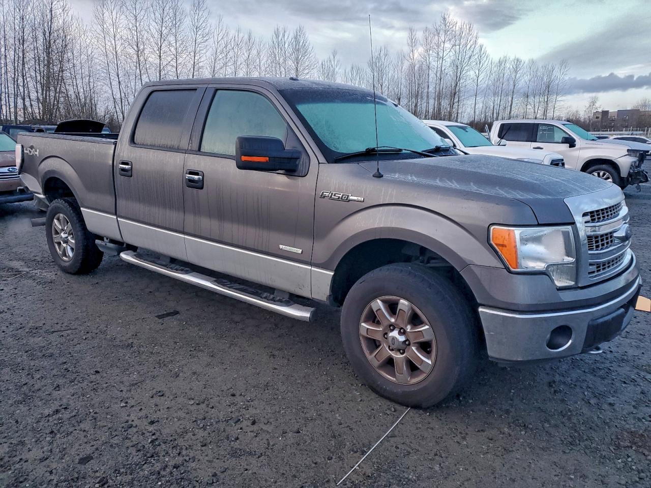 2013 FORD F150 SUPERCREW photo 4