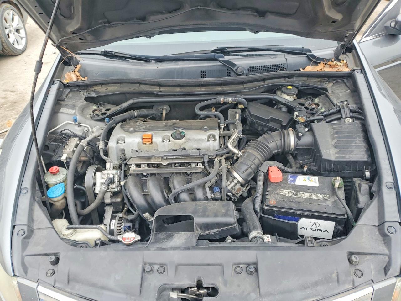 2010 HONDA ACCORD EXL photo 11