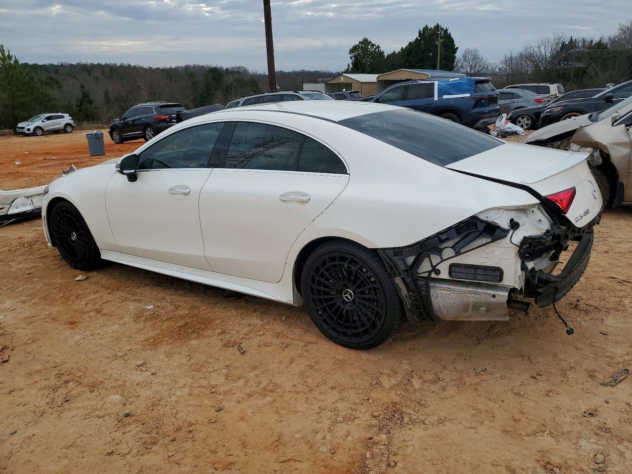 2020 MERCEDES-BENZ CLS 450 photo 2