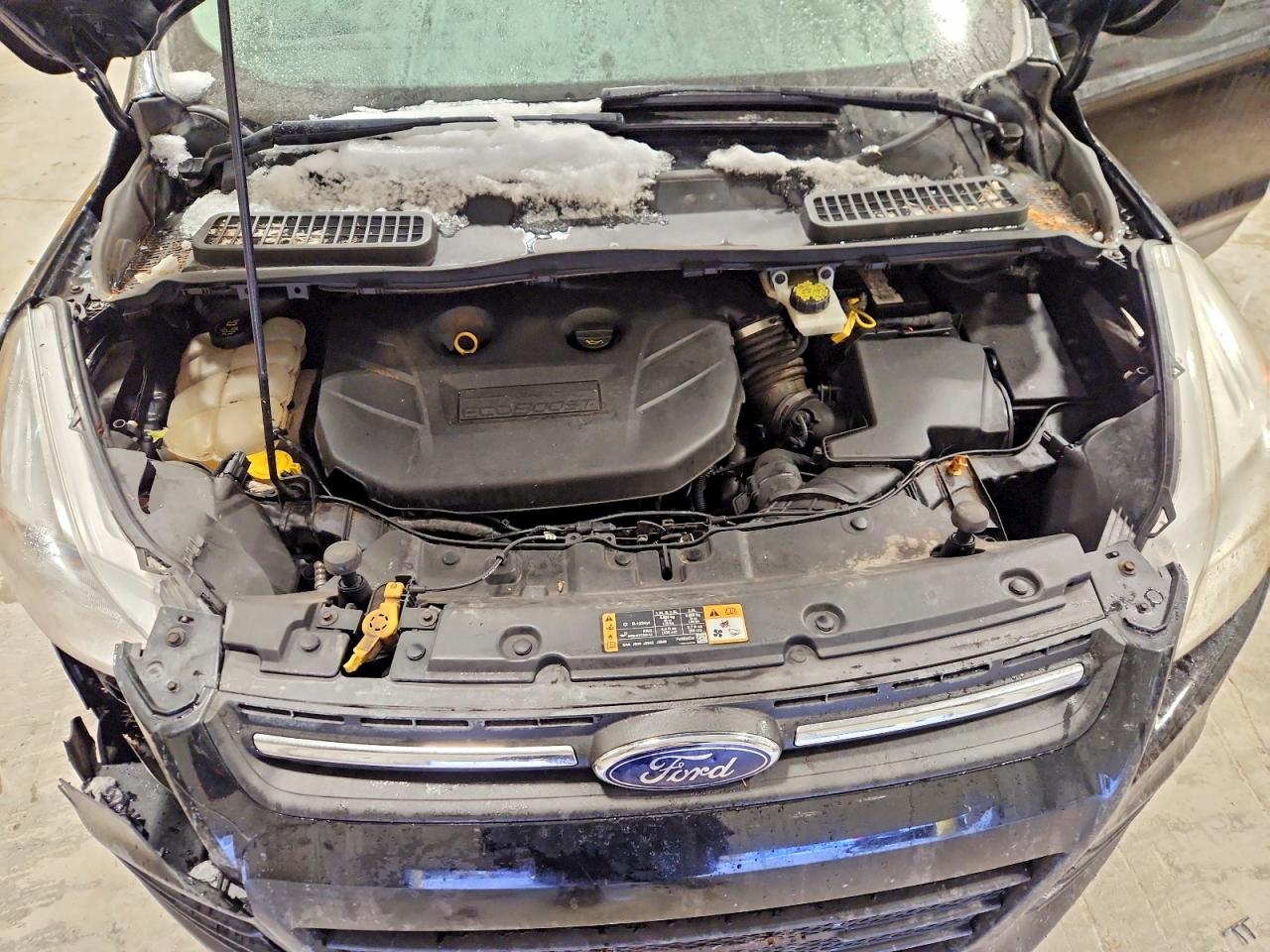 2016 FORD ESCAPE SE photo 11
