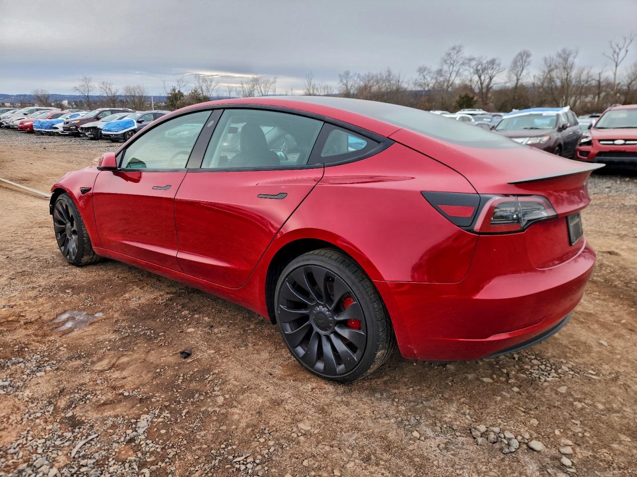2023 TESLA MODEL 3 photo 2