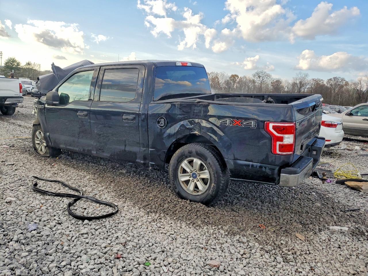 2019 FORD F150 SUPERCREW photo 4